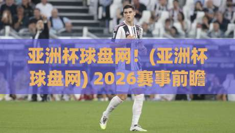 亚洲杯球盘网！(亚洲杯球盘网) 2026赛事前瞻与实用指南：球迷必看