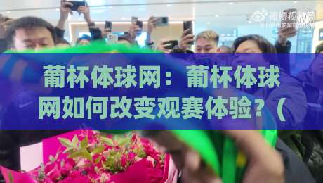 葡杯体球网：葡杯体球网如何改变观赛体验？(葡杯体球网)从数据延迟到沉浸交互的跃迁-最全手机信誉体球站走盘单双盘独赢波胆盘大球分析