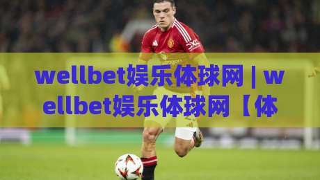 wellbet娱乐体球网 | wellbet娱乐体球网【体球网】从数据流到观赛体验的进阶之路-线上十大最稳让球网升盘在线看评级时间推荐直播源