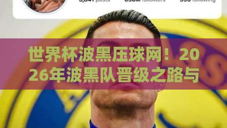 世界杯波黑压球网！2026年波黑队晋级之路与实用预测指南