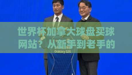 世界杯加拿大球盘买球网站？从新手到老手的完整避坑指南(世界杯加拿大球盘买球网站)2026版