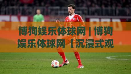 博狗娱乐体球网 | 博狗娱乐体球网【沉浸式观赛】从数据流到社区共鸣的进阶之路-线上十大最稳堵球网在线看评级时间推荐直播源不卡顿