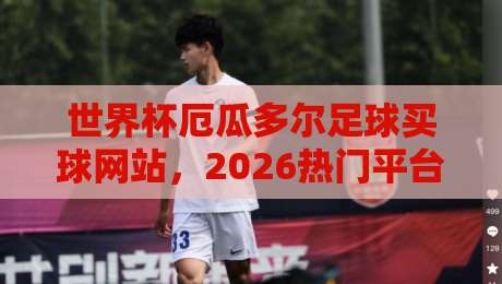 世界杯厄瓜多尔足球买球网站，2026热门平台怎么选？