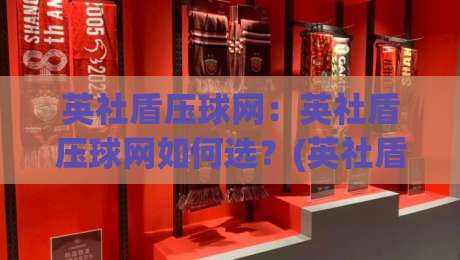 英社盾压球网：英社盾压球网如何选？(英社盾压球网)材质工艺与场景适配全拆解-最大权威网页投球站低水无需注册观看解说让球盘高清
