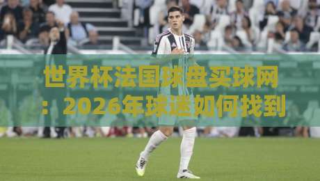 世界杯法国球盘买球网：2026年球迷如何找到靠谱平台？