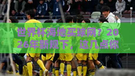 世界杯海地买球网？2026年新规下，这几点你必须懂！