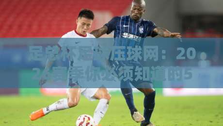 足总杯足球压球网：2026赛季你必须知道的5个投注技巧与平台选择