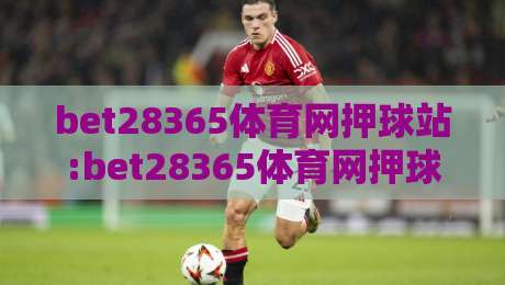 bet28365体育网押球站:bet28365体育网押球站如何提升观赛体验?bet28365体育网押球站互动玩法与社群氛围全解读-今晚靠谱最火下球站登入上盘地址两球半社区排行