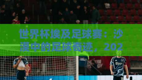 世界杯埃及足球赛：沙漠中的足球奇迹，2026年能否圆梦？
