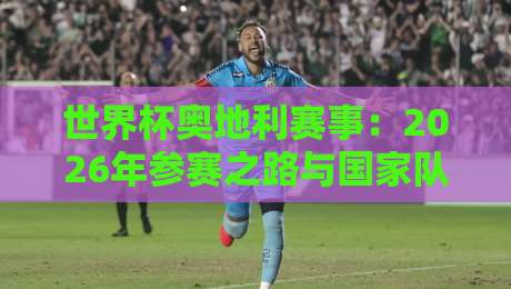 世界杯奥地利赛事：2026年参赛之路与国家队备战全解析