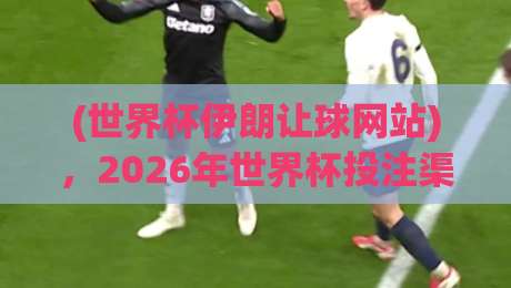 (世界杯伊朗让球网站)，2026年世界杯投注渠道全解析——从盘口逻辑到避坑指南