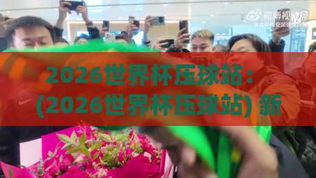 2026世界杯压球站： (2026世界杯压球站) 新手指南与避坑策略