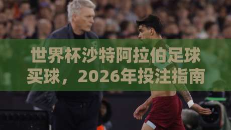 世界杯沙特阿拉伯足球买球，2026年投注指南来了！