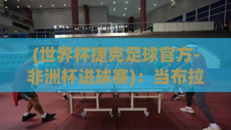 (世界杯捷克足球官方-非洲杯进球赛)：当布拉格遇见非洲，2026年足球盛宴的另类解读