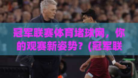 冠军联赛体育堵球网，你的观赛新姿势？(冠军联赛体育堵球网)