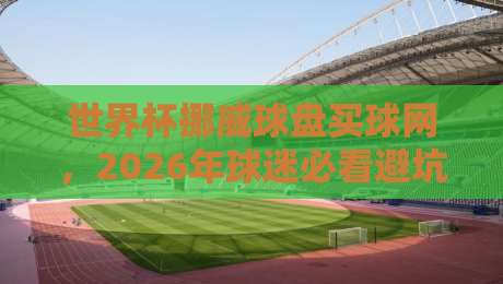 世界杯挪威球盘买球网，2026年球迷必看避坑指南