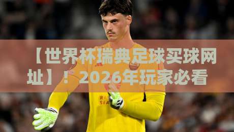 【世界杯瑞典足球买球网址】！2026年玩家必看的安全选择与避坑指南