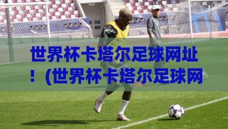 世界杯卡塔尔足球网址！(世界杯卡塔尔足球网址) 2026年球迷必备观赛攻略