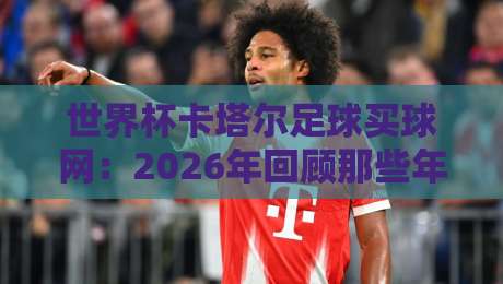 世界杯卡塔尔足球买球网：2026年回顾那些年我们追过的买球平台