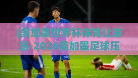 (美加墨世界杯体育让球站-2026美加墨足球压球赛)：2026年美加墨世界杯让球盘口深度解析与实战投注策略全攻略——从小组赛到决赛，老司机教你如何玩转让球站