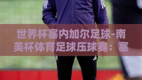 世界杯塞内加尔足球-南美杯体育足球压球赛：塞内加尔球星搅动南美赛场，2026投注新玩法（世界杯塞内加尔足球-南美杯体育足球压球赛）