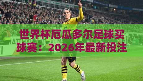 世界杯厄瓜多尔足球买球赛：2026年最新投注策略与实战指南