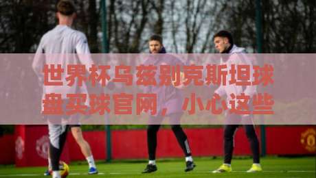 世界杯乌兹别克斯坦球盘买球官网，小心这些陷阱！